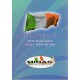 Testo Stile Nazionale MIDAS